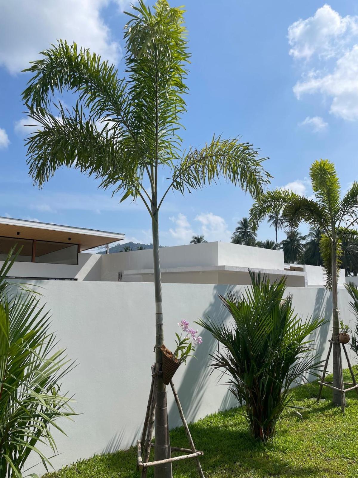 Villa Miss Elephant
